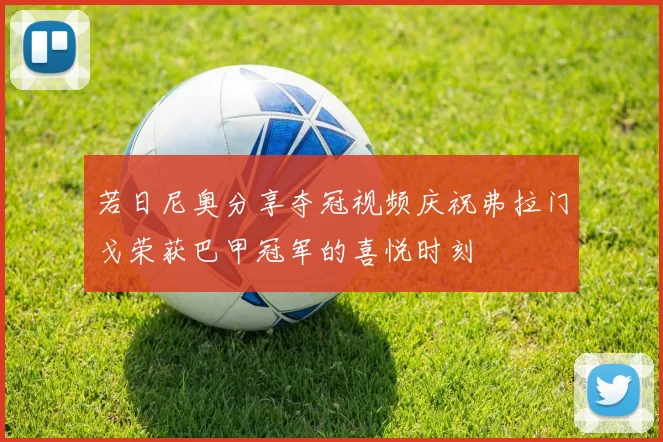 若日尼奥分享夺冠视频庆祝弗拉门戈荣获巴甲冠军的喜悦时刻