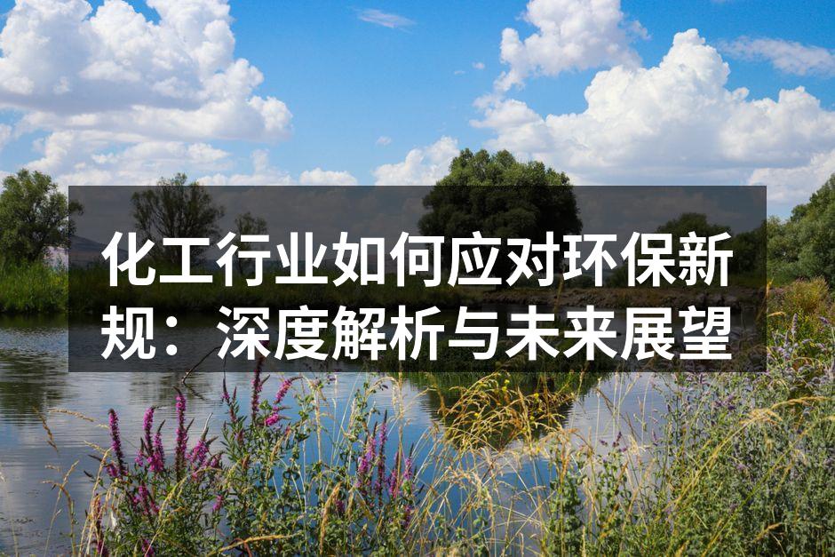 化工行业如何应对环保新规：深度解析与未来展望